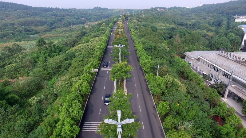 绵阳机场路改造提升（黑化）工程