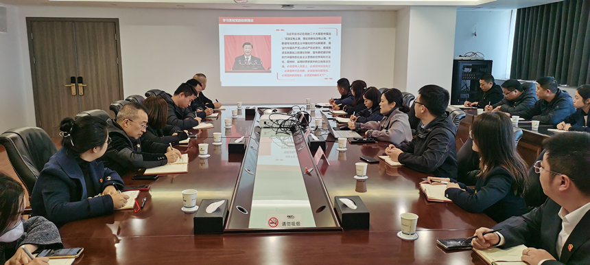 集团党委委员、副总经理贺维维同志讲授专题党课 集团党委委员、副总经理贺维维同志讲授专题党课