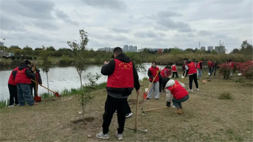 植此新绿，共“树”未来——欧宝app开展志愿植树活动