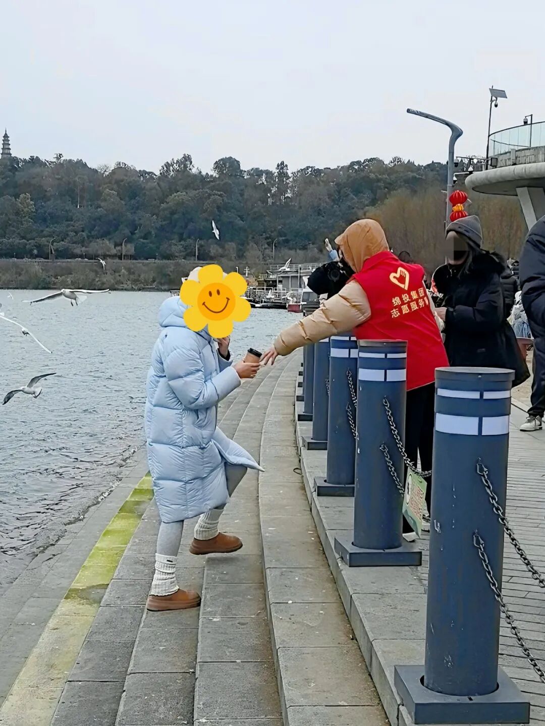 欧宝app